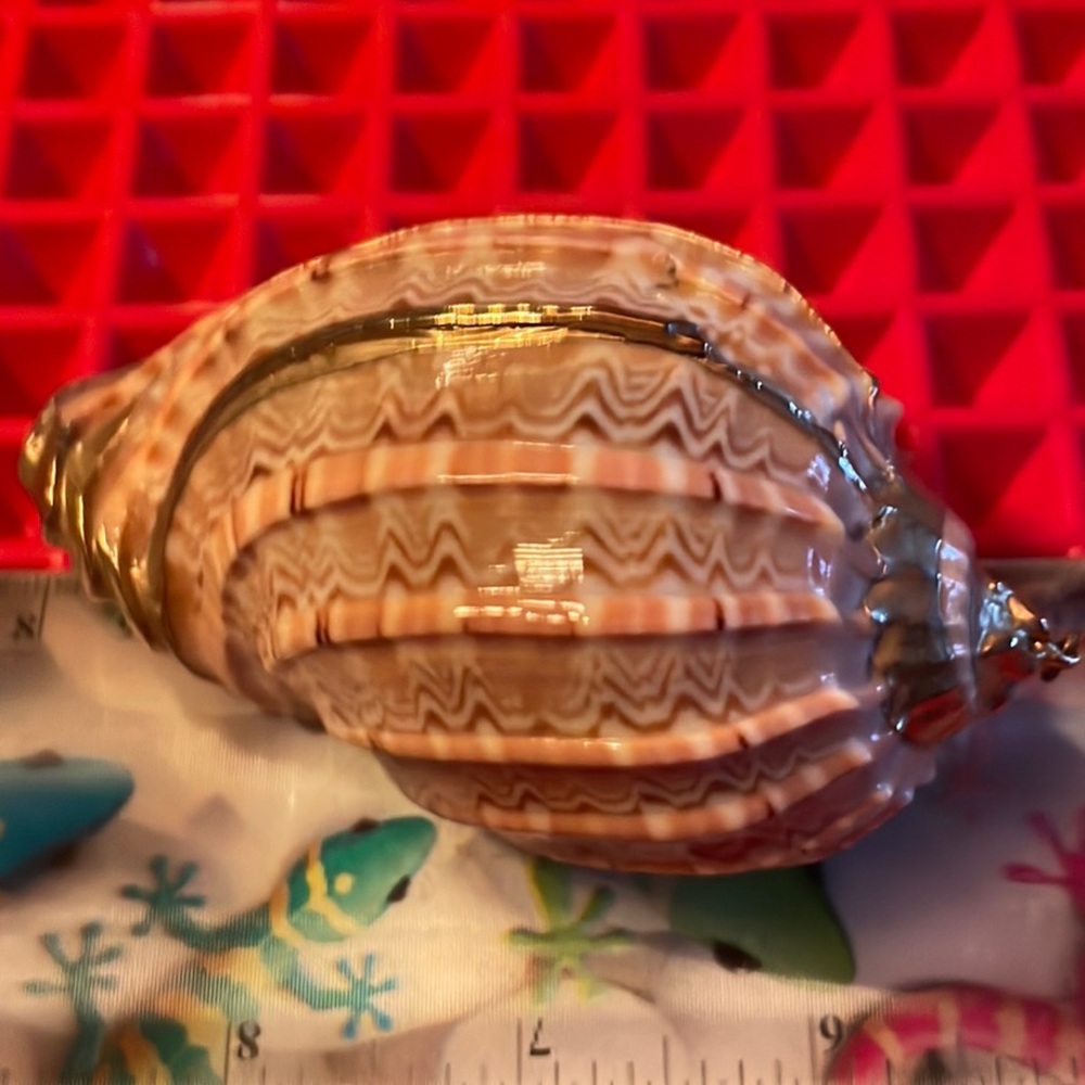 GORGEOUS GOLD TRIMMED ORNAMENT